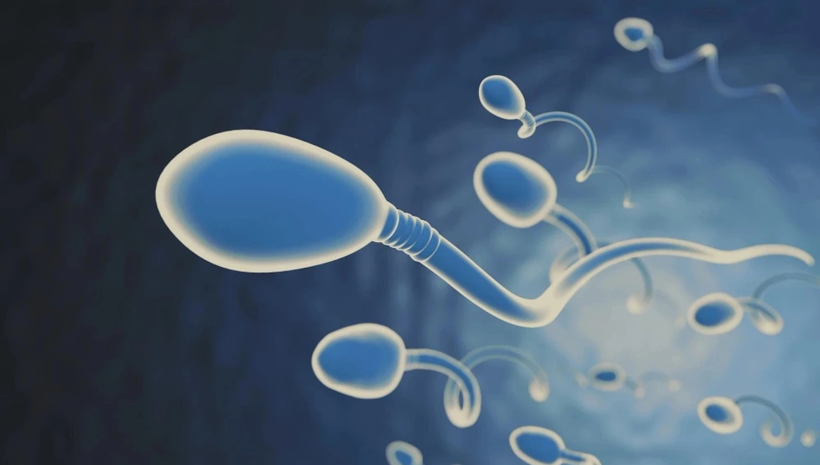TESA vs PESA vs Micro-TESE: Sperm Retrieval Options for Azoospermia