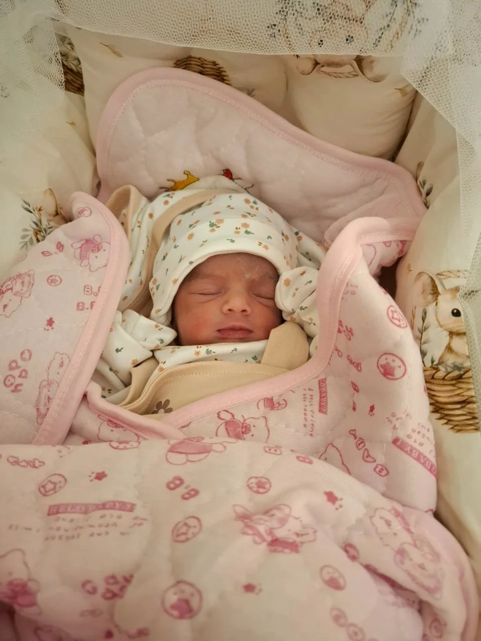 Newborn Baby Moments